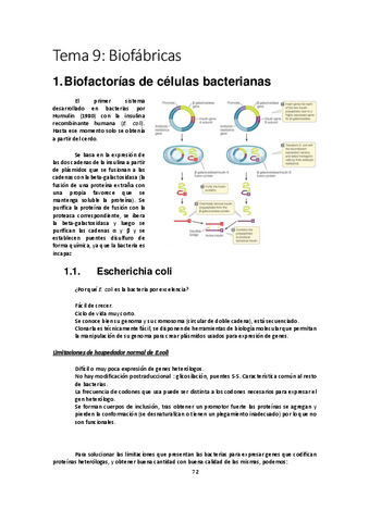 Tema-9-Avances-en-Bioquimica-y-Biologia-Molecular-23-24-9.pdf