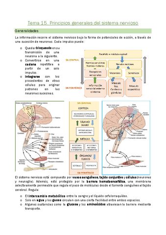 Tema-15.-Principios-generales-del-sistema-nervioso.pdf