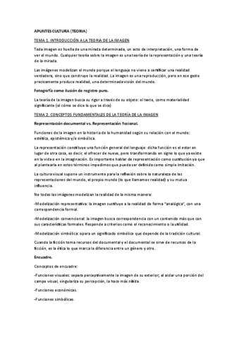 APUNTES-CULTURA.pdf
