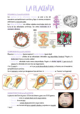 11.-La-placenta.pdf