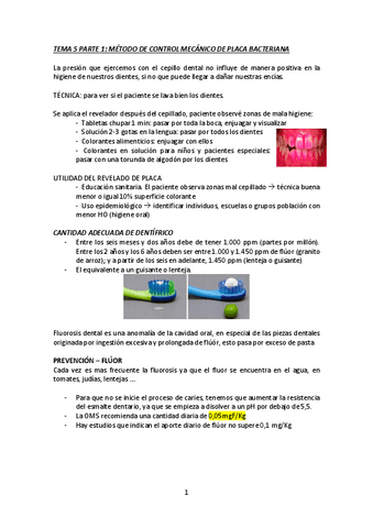 TEMA-5-PARTE-1-OPC.pdf