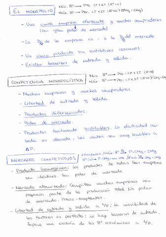 T5.-Competencia-Perfecta.pdf