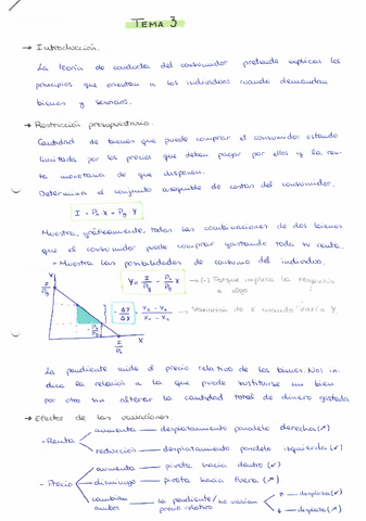 T3.-Resumenes-a-mano.pdf