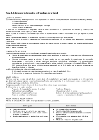 Tema-3-CLI-SAL.pdf