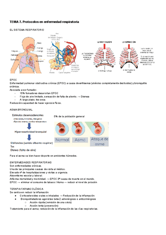 TEMA-7-CLI-SAL.pdf