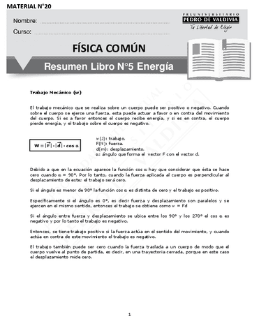 6096-FC-20-Resumen-LIBRO-N5-Energia-SA-7.pdf