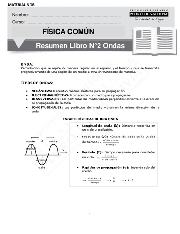 7100-FC-06-Resumen-Libro-N2-SA-7.pdf