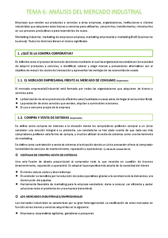 TEMA-6-ANALISIS-DEL-MERCADO-INDUSTRIAL.pdf