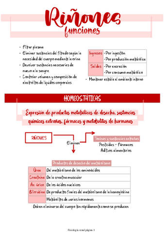 Fisiologia-renal.pdf