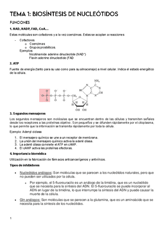 Temas-1-7-Biosintesis.pdf
