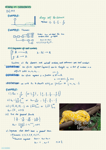Differential-calculus.-Lesson 11.pdf