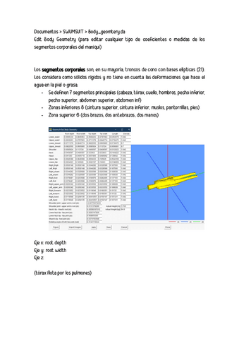 Swumsuit-Apuntes-Lab.pdf