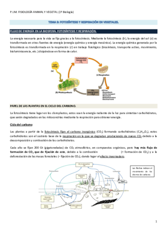 Tema 09. Fotosíntesis y Respiración en vegetales..pdf