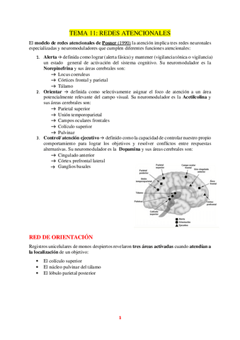 TEMA-11.pdf