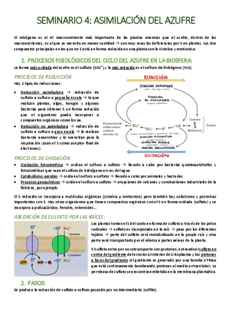 SEMINARIO-4-Asimilacion-del-azufre.pdf