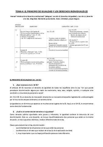 consti-temas-4-5-DCIII.pdf