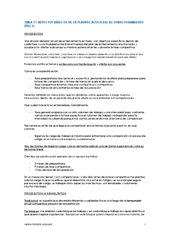 TEMA-11.pdf