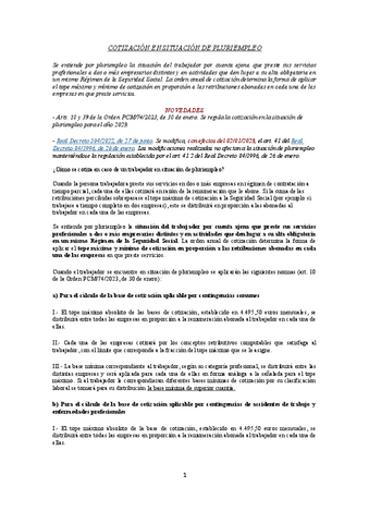 COTIZACION-EN-SITUACION-DE-PLURIEMPLEO.pdf