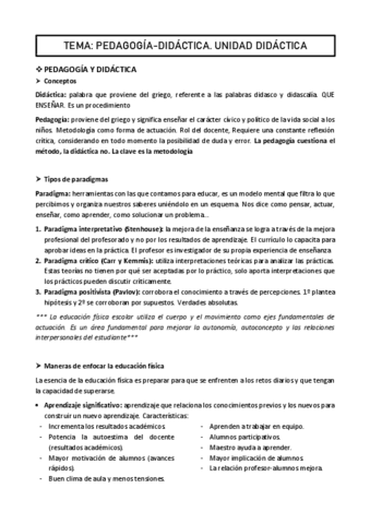 TEMAS-PEDAGOGIA-DIDACTICA.pdf