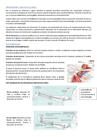 SINDROMES-CANALICULARES-MET-2.pdf