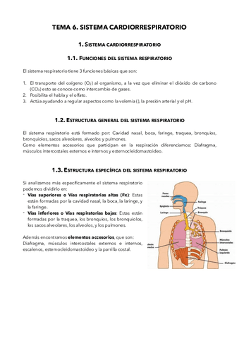 Tema-6.pdf