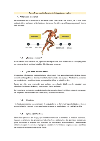 Tema-7.-Valoracion-funcional-del-jugador-de-rugby.pdf