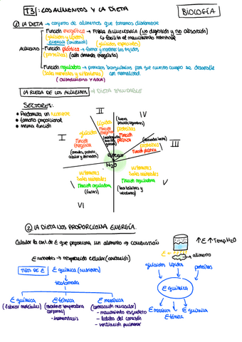T3-LOS-ALIMENTOS-Y-LA-DIETA.pdf