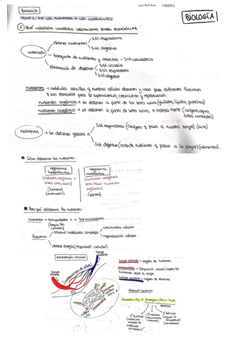T2-DE-LOS-ALIMENTOS-A-LOS-NUTRIENTES.pdf