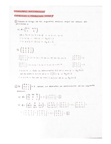 Ejercicios-Tema-2.pdf