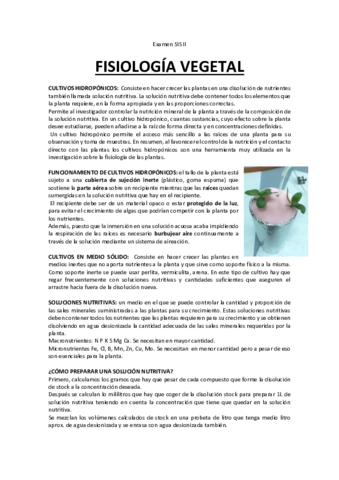 examen sis.PDF.pdf