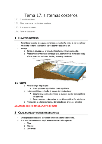 Tema-17.-Completo-pdf.pdf