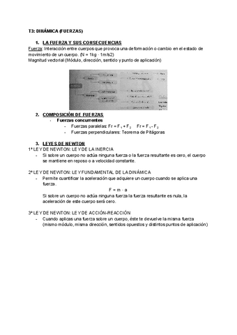 FISICA-T3.-FUERZAS-E3.pdf