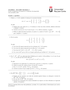Examen álgebra.pdf