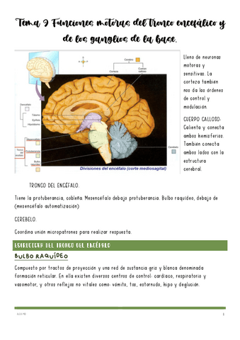 Tema-9-Funciones-motoras-del-tronco-encefalico-y-de-los-ganglios-de-la-base.pdf