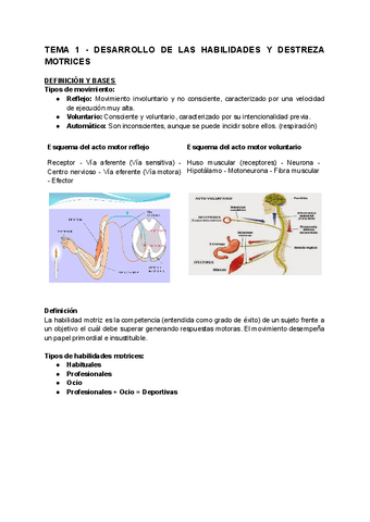 Habilidades-y-sistematica-1.pdf