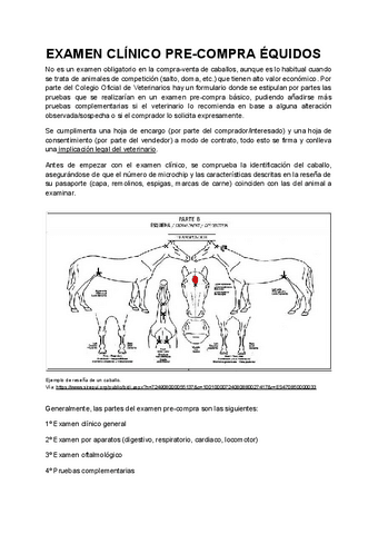 EXAMEN-PRE-COMPRA-EQUIDOS.pdf
