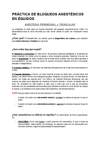PRACTICA-BLOQUEOS-ANESTESICOS.pdf