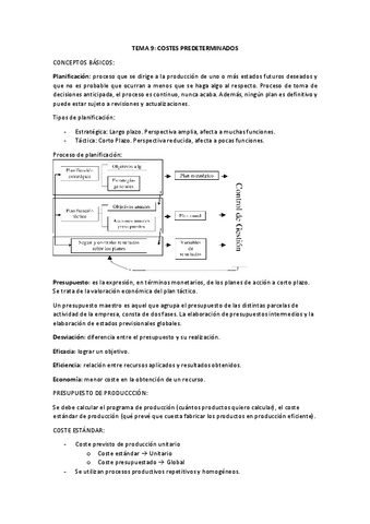 CONTABILIDAD-DE-COSTES-TEORIA-TEMA-9.pdf