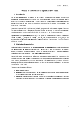 Unidad 4.pdf