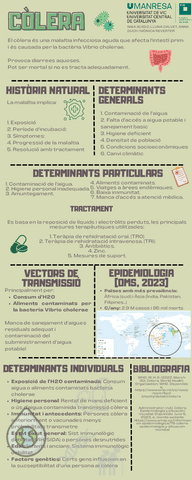 Act-AVALUACIO-CONTINUADA-3.pdf