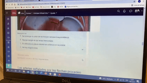 EXAMEN-PARCIAL-TORAX.MP4