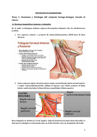Laringectomias.pdf
