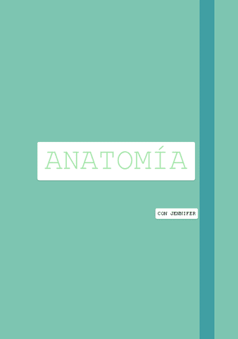 Anatomia-ano-entero.pdf
