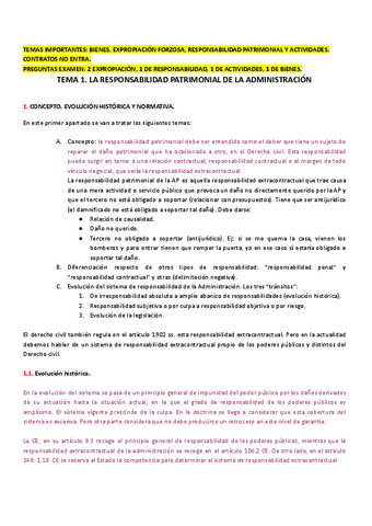 TEMAS-ADMINISTRATIVO-II.pdf