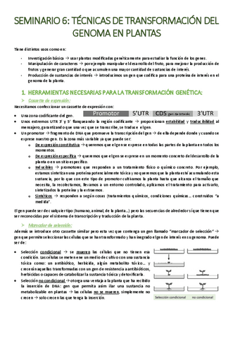 SEMINARIO-6-Tecnicas-de-transformacion-en-plantas.pdf
