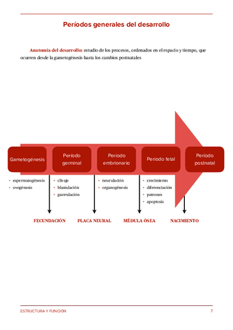 Periodos-generales-del-desarrollo-1.pdf