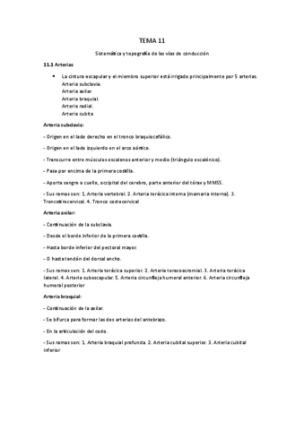 TEMA-11.pdf