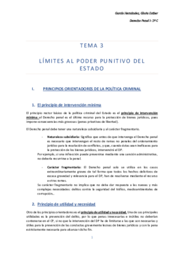 TEMA 3- límites al poder punitivo del Estado.pdf