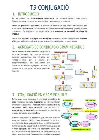 T.9-CONJUGACIO.pdf