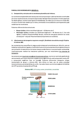 PARCIAL-2-Opción(A)-RESUELTO.pdf